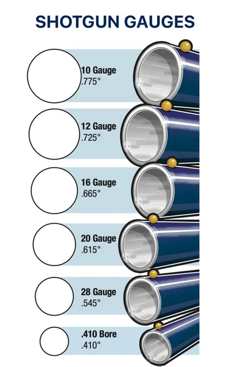 28 Gauge vs 410 Shotgun – Which is Best?