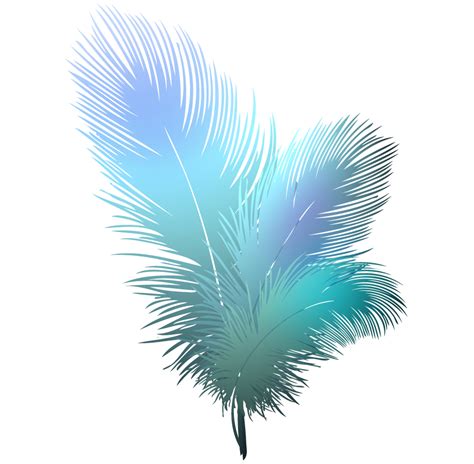 Collection of Feather HD PNG. | PlusPNG