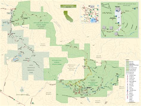 Insights from a (Former) Traveling Occupational Therapist: My Favorite Northern California Hikes