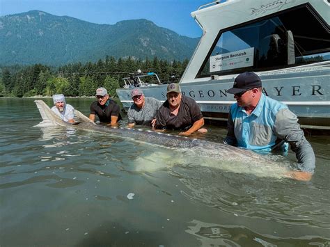 Fraser River