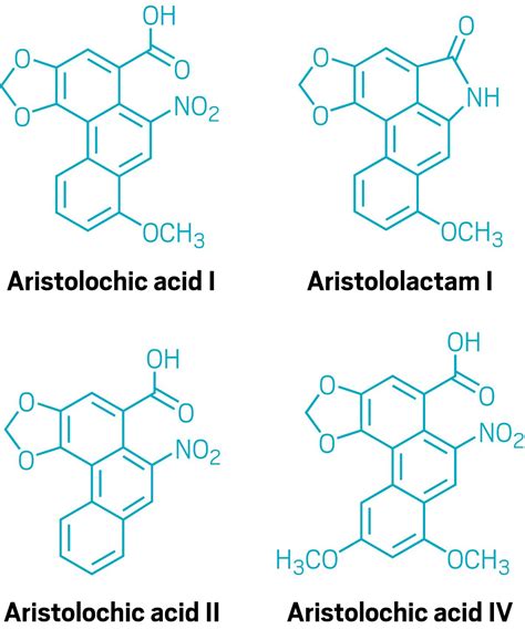 Mysterious kidney disease traced to plant toxins – Chemical & Engineering News – Health 1