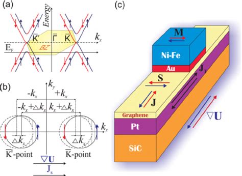 Schematic spin electronic structure of the Dirac-cone graphene p states ...