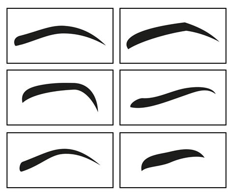 Traceable Printable Eyebrow Stencils Real Size