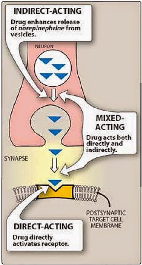 Pharmacological Blog: Epinephrine