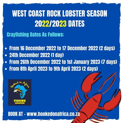 West Coast Rock Lobster Season 2022/2023 Dates - Hooked On Africa Fishing Charters Cape Town