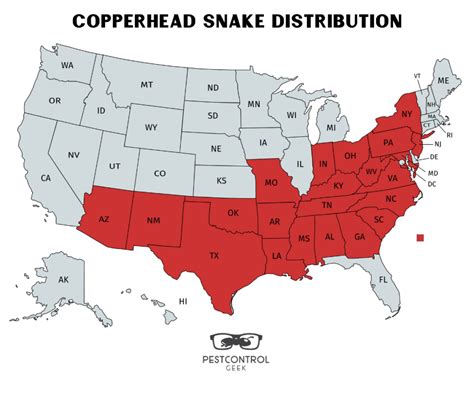 How To Get Rid Of Copperhead Snakes - Pest Control Gurus