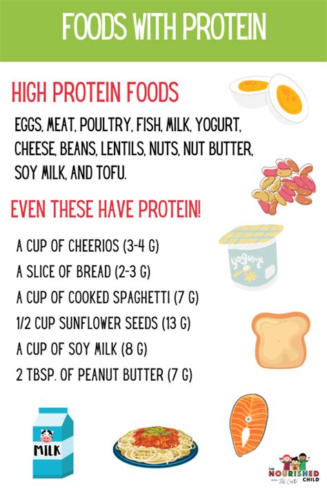 Protein Powder for Kids: Tips for Parents and Best Brands