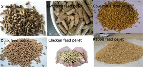 How Chicken Feed Pellets Are Made - Pet Food Guide