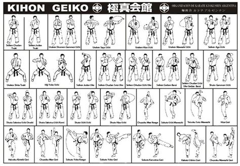 KIHON KYOKUSHIN PDF