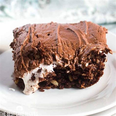 Mississippi Mud Cake Recipe | The Best Cake Recipes