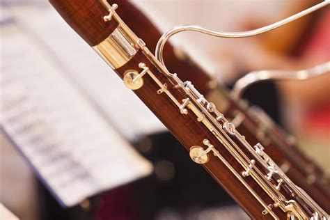 Ohio Bassoon Lessons - Canton, Akron, Northeast Ohio