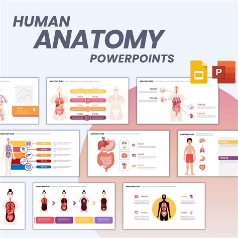 Anatomy Powerpoint Fully Editable Templates Medical Powerpoint ...