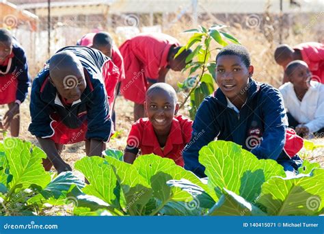 School Children Learning about Agriculture and Farming Editorial Photo - Image of fields, farm ...