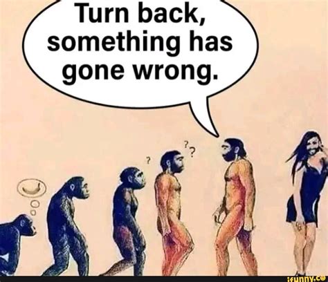 Turn back, something has gone wrong. - iFunny