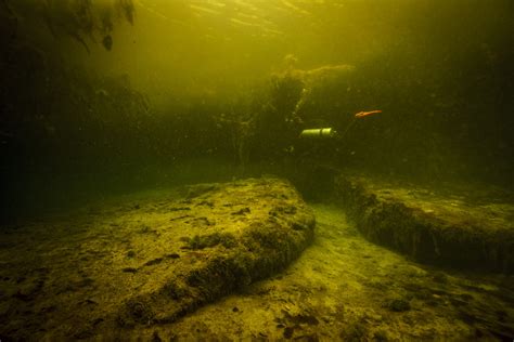 Manatee Habitat Discovered | Klaus Thymann