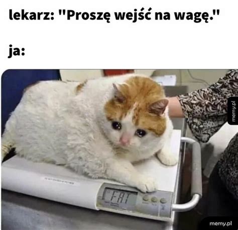 Smutek - Memy.pl