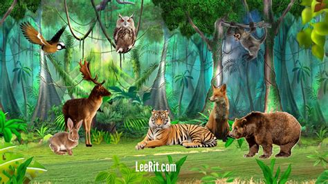 Từ vựng tiếng Anh về Động vật - Animals - Phần 1 | Từ vựng tiếng Anh ...