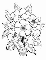 Free Flower Coloring Pages For Adults Unwind And Unleash Your Creativity sketch template