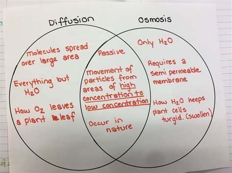 Osmosis And Diffusion Venn Diagram