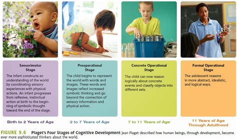 Cognitive Development - Human Development