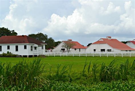 A Family Visit to George Ranch Historical Park | Mommy Poppins - Things To Do in Houston with Kids