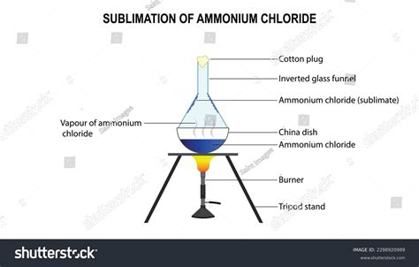 Diagram Sublimation Ammonium Chloride Lab Chemistry Stock Vector (Royalty Free) 2298920989 ...