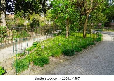 364 Padova Botanical Garden Images, Stock Photos & Vectors | Shutterstock