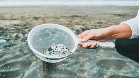 What Are Microplastics and How Did They Get Into Our Food?