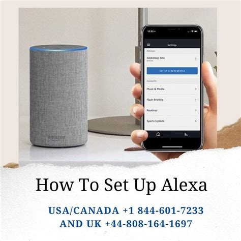 Alexa Setup Problem? Get Solution Here - Mart William - Medium