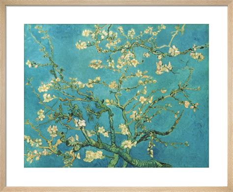 Almond Blossom, 1890 Art Print by Vincent Van Gogh | King & McGaw