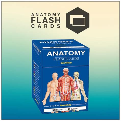 QuickStudy | Anatomy Flash Cards | Anatomy flashcards, Flashcards ...