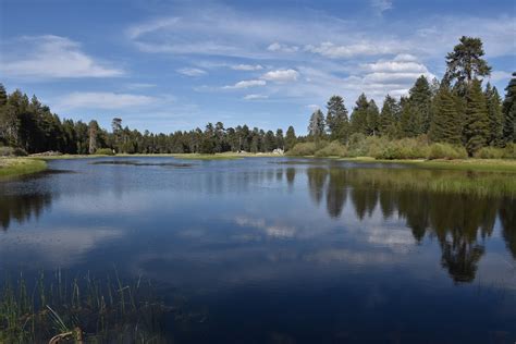 My Own 100 Hikes: Bluff Lake Reserve, San Bernardino National Forest, CA