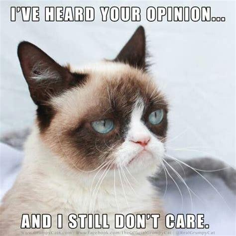 Grumpy cat Sayings amp; Quotes Pinterest | Grumpy Cat Pictures