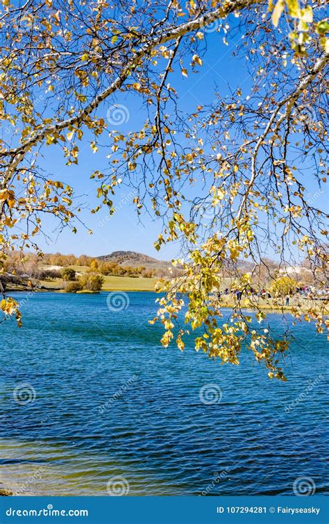 Peaceful Lake Under the Blue Sky in Deep Autumn on the Grass Land Stock ...