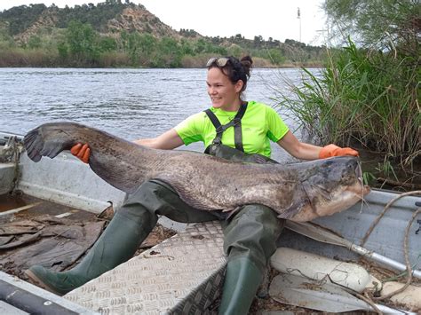 Ebro Fishing Experience