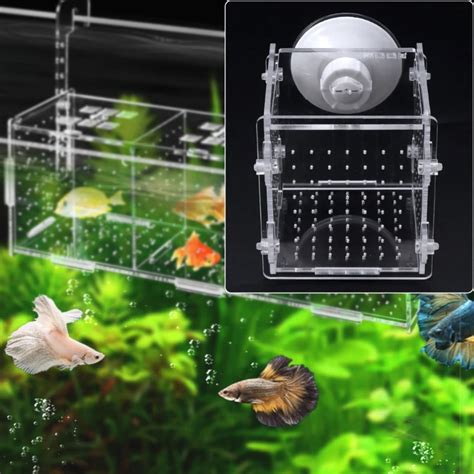 Aquarium Fish Breeding Isolation Box Fish Tank Incubator Breeder For Baby Fish-in Aquariums ...