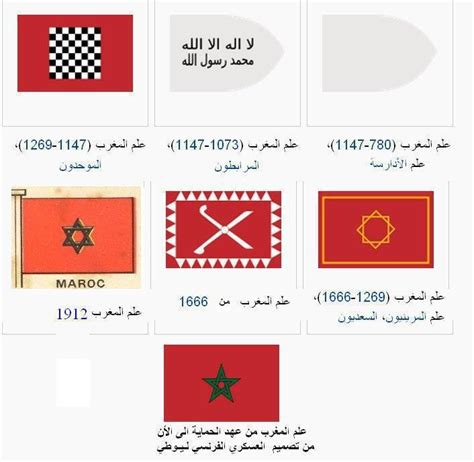 Moroccan Flags | Historical flags, Moroccan flag, Flag