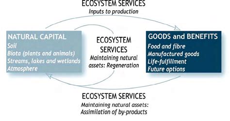 Relationships between ecosystem services, natural capital, and goods... | Download Scientific ...