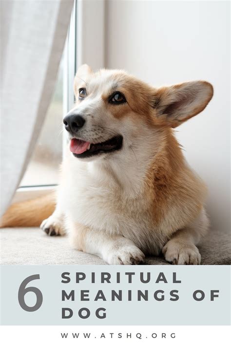 Dog Symbolism: 6 Spiritual Meanings of Dog