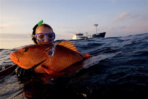 A Female Spearfisher Holding A Speared Photograph by Chris Ross