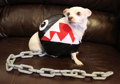 Chain Chomp | Halloween Costume Contest