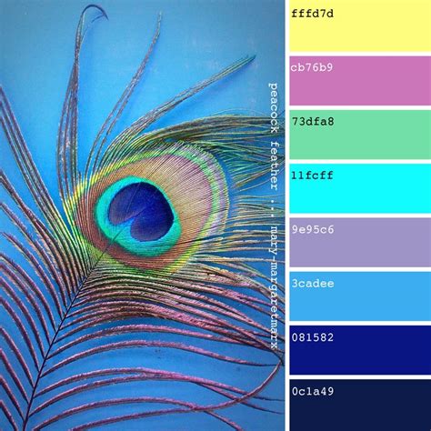 Peacock Feather | Peacock color scheme, Color palette, Color palette design