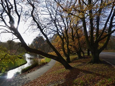 Autumn at Sefton Park in Liverpool, Merseyside, England - … | Flickr