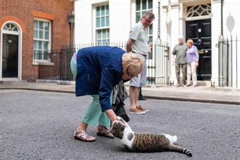 Photos: Larry the Cat’s 12 Years as Chief Mouser - The Atlantic