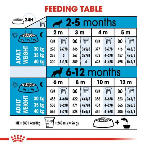 royal canin large breed puppy feeding guide - Garret Hildebrand