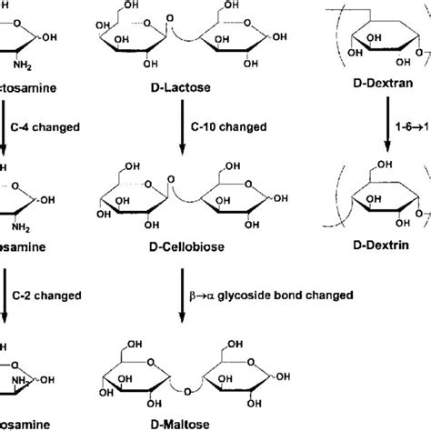 Saccharide structures and their relationships. | Download Scientific Diagram