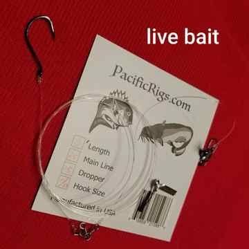 Pacific Rigs Live Bait Rig - 679943