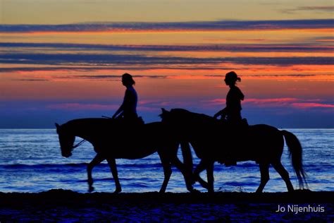 "Sunset Horse Riding" by Jo Nijenhuis | Redbubble