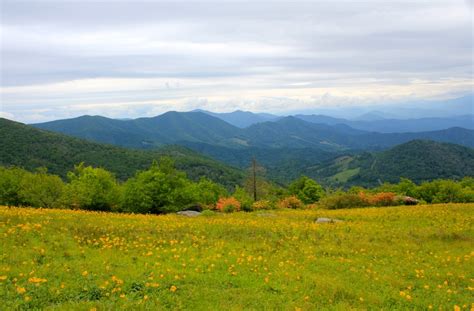 Roan Mountain State Park – Waterfalls Hiker