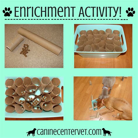 Enrichment Activites in 2024 | Enrichment activities, Enrichment, Activities